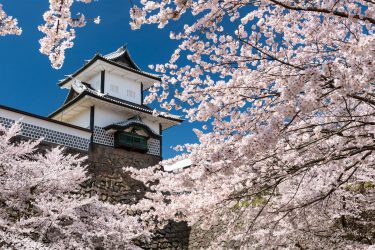 A Journey Through Kanazawa Castle and Samurai Residences