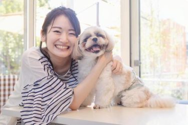 金沢市のペット同伴OKスポット5選｜愛犬と楽しむおでかけ休日