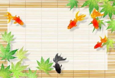 金沢市で日帰り避暑が叶うスポット5選｜涼しくて快適な屋内レジャー