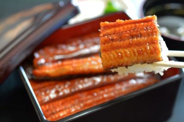 【鰻】金沢市で美味しい うなぎ を味わう！おすすめのお店5選
